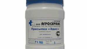 Rana u pse: što obraditi, liječiti, što učiniti